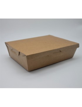 ECO LUNCH 600 ML (CAJA ALMUERZO) 350 UND